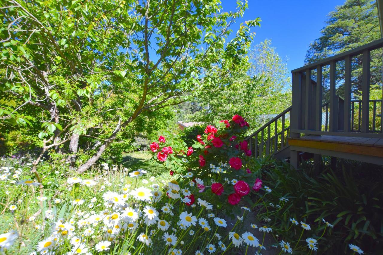 Mintie Cottage On Leura Mall Exterior photo